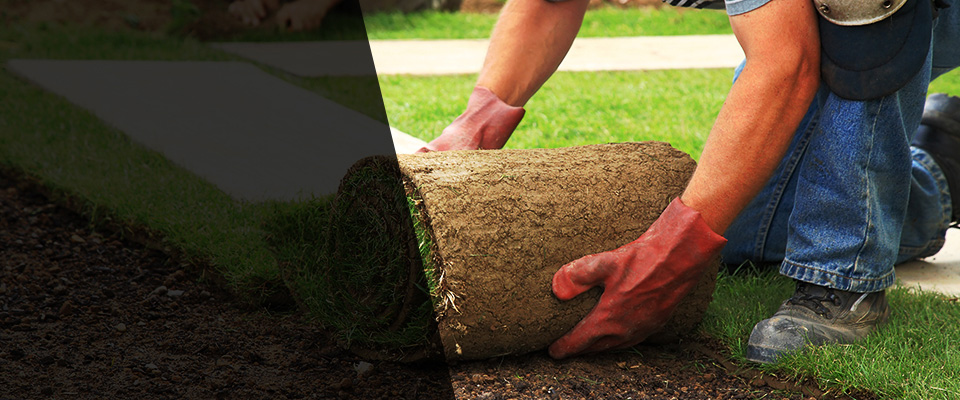 Gentry Landscapers